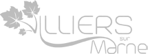 Logo Villiers, client Kallys